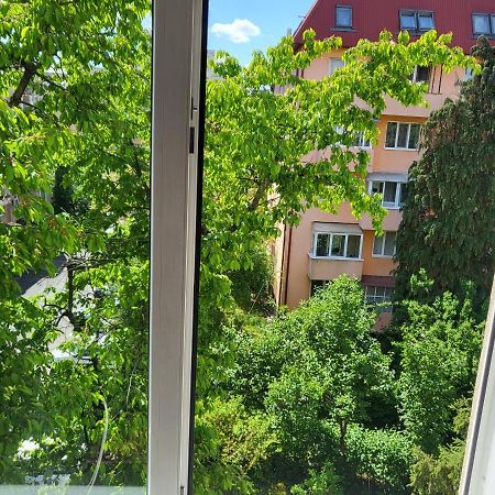 Apartament Florilor Бая-Маре Экстерьер фото